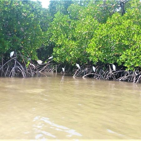 Mida Creek Nature Camp Watamu Exterior foto