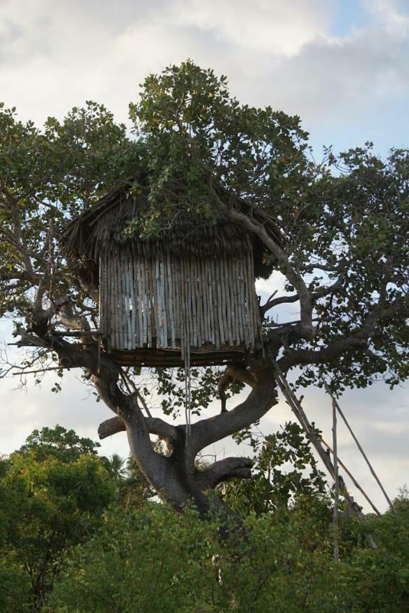 Mida Creek Nature Camp Watamu Exterior foto