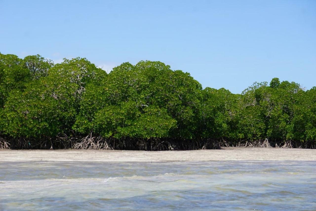 Mida Creek Nature Camp Watamu Exterior foto