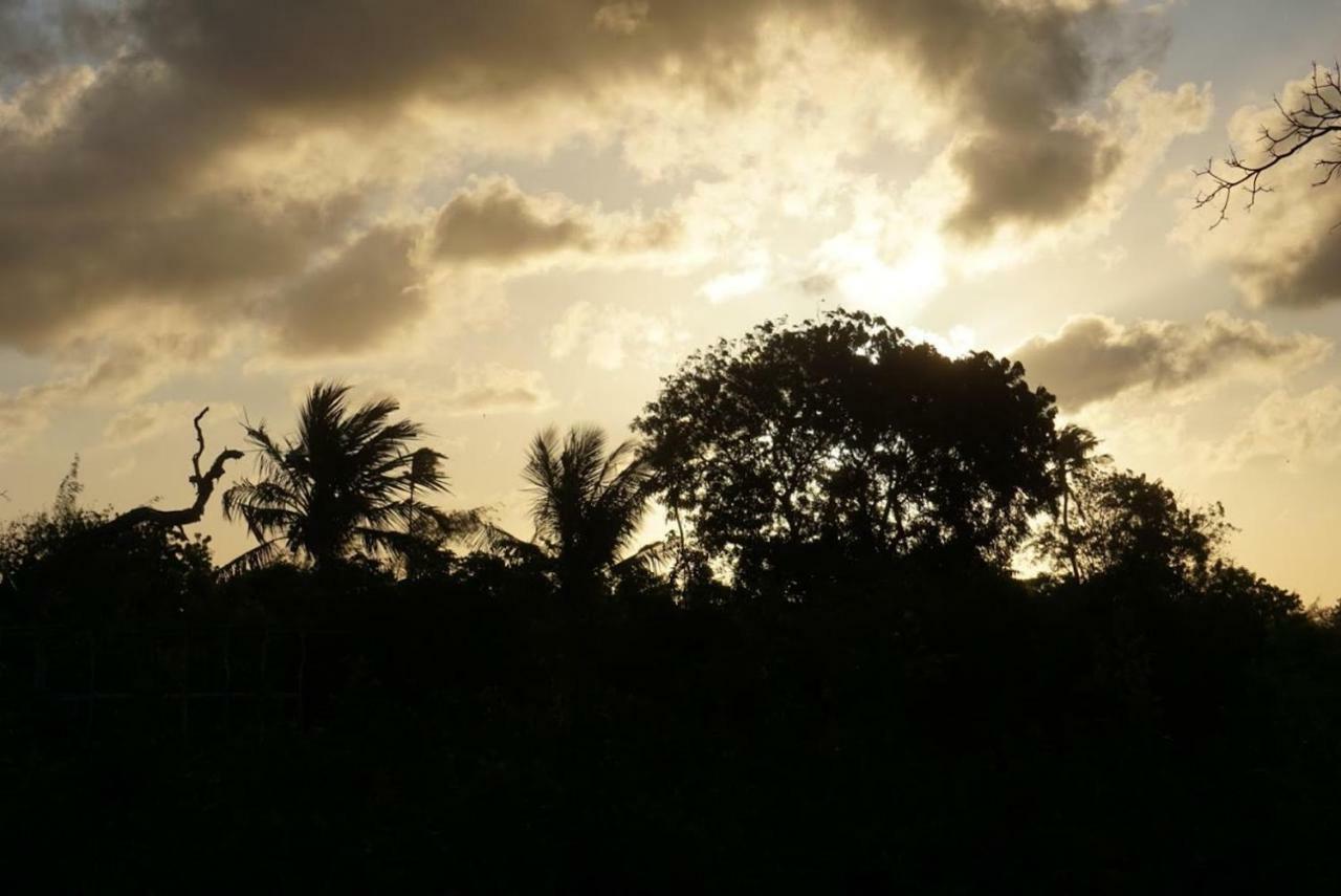 Mida Creek Nature Camp Watamu Exterior foto