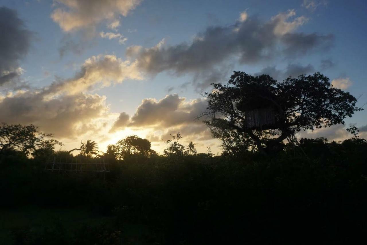 Mida Creek Nature Camp Watamu Exterior foto