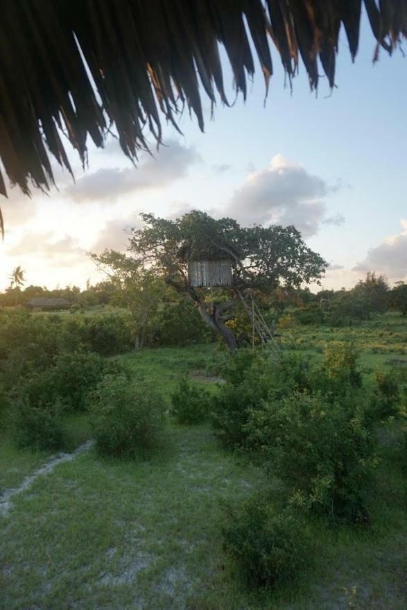 Mida Creek Nature Camp Watamu Exterior foto