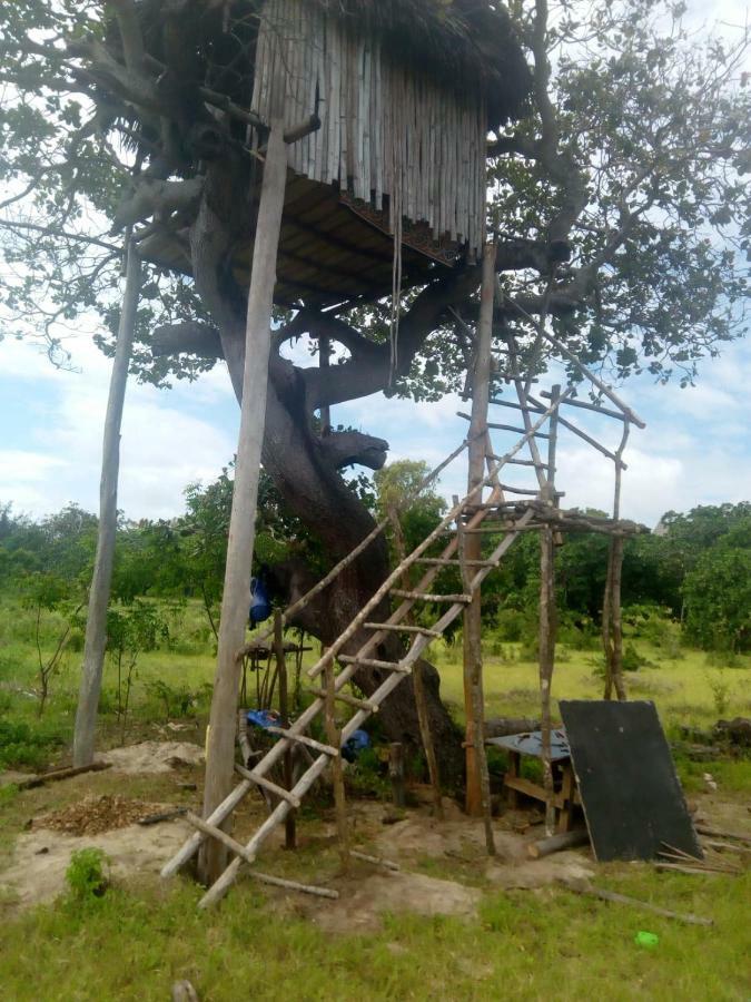 Mida Creek Nature Camp Watamu Exterior foto