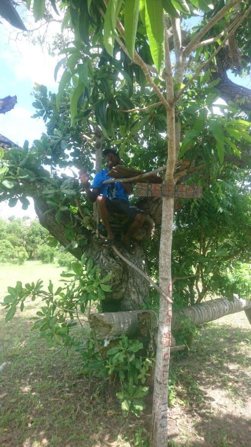 Mida Creek Nature Camp Watamu Exterior foto